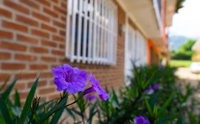 Casa las ruelias